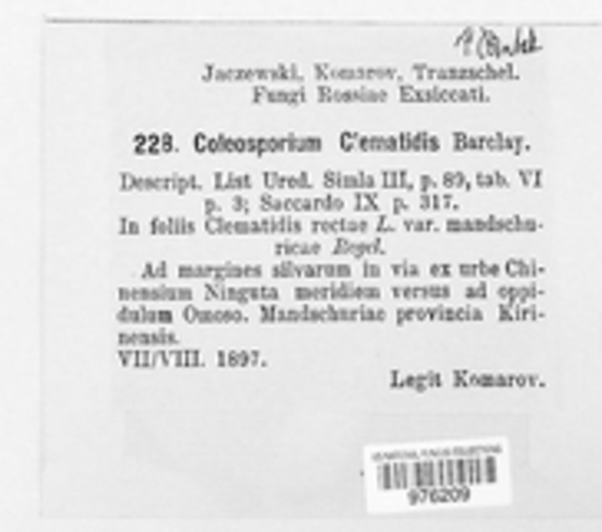 Coleosporium clematidis image